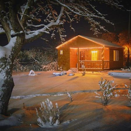 Family Hotel Maia - Cемейная гостиница Майя Dashbashi Екстер'єр фото